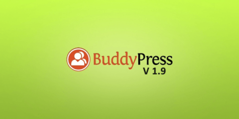 BuddyPress 1.9