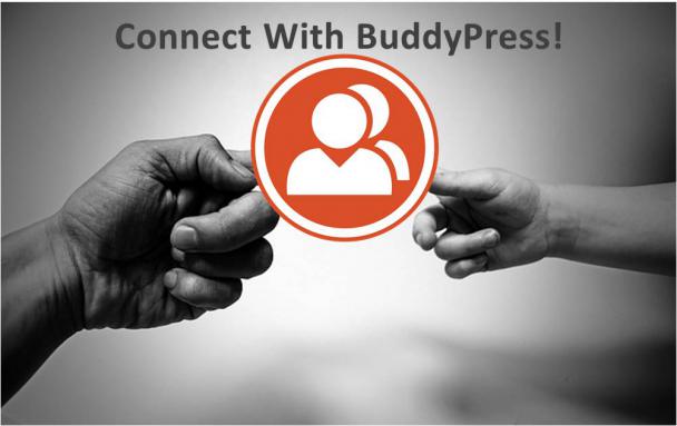 BuddyPress 2.0