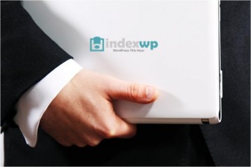 Indexwp on Sale