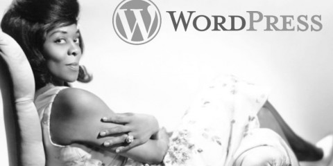 WordPress 4.1