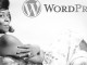 WordPress 4.1