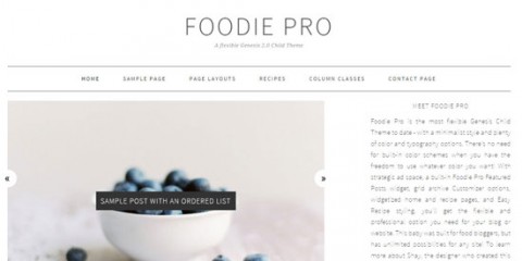 Foodie Pro Theme Review