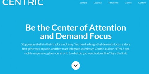 Centric Pro Theme Review